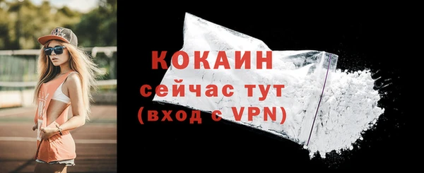 сатива Верхний Тагил