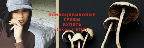 сатива Верхний Тагил