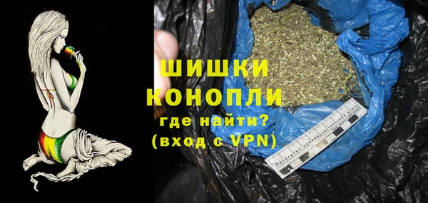 сатива Верхний Тагил