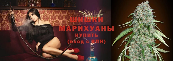 сатива Верхний Тагил