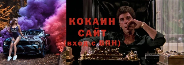 сатива Верхний Тагил