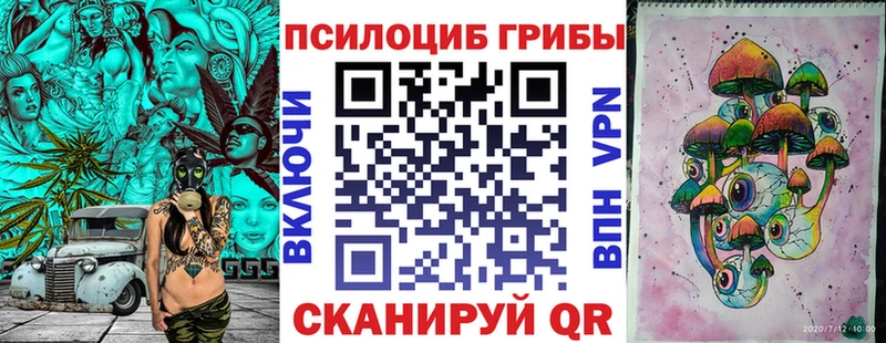 Купить где  Волосово  Галлюциногенные грибы GOLDEN TEACHER 